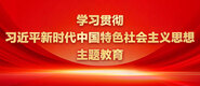 干日本美女逼学习贯彻习近平新时代中国特色社会主义思想主题教育_fororder_ad-371X160(2)